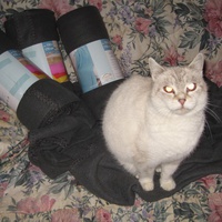 photo de livraison pour Jardin des Chats