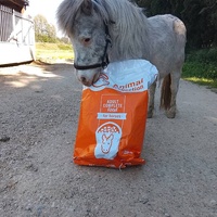 photo de livraison pour Happy Horse Day