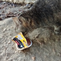 photo de livraison pour Boules d'amour