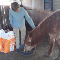 photo de livraison pour La Retraite des Chevaux des Causses