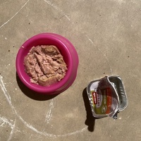 photo de livraison pour Les Chats de Condom 32