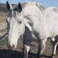 photo de livraison pour Tabula Rasa