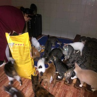 photo de livraison pour Hajar Aourz