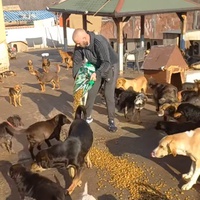 photo de livraison pour ПРИХВАТИЛИШТЕ ДРАЖЕВАЦ