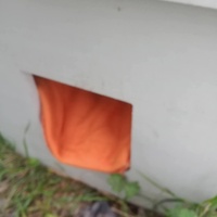 photo de livraison pour Les Chats-Pitresdelavi-Ste