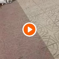 photo de livraison pour Comme Chiens et Chats Maroc