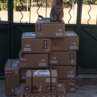 photo de livraison pour Cat Miaou