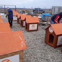 photo de livraison pour Animal Shields Oradea