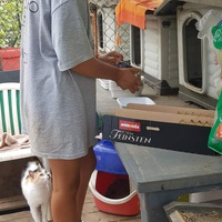 photo de livraison pour Chats Libres de Béziers