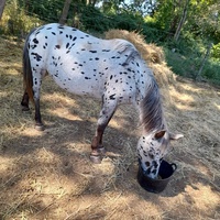 photo de livraison pour La Ferme des Zanimobiles
