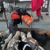 photo de livraison pour Associtia Axi Hope Romania