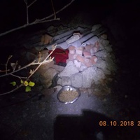 photo de livraison pour Pro Animals Finland ry