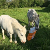 photo de livraison pour Espoir au Galop