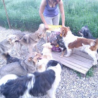 photo de livraison pour Antonia Save Animals