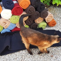 photo de livraison pour Bien vivre avec les Chats Sallélois