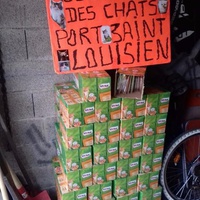 photo de livraison pour Les chats Port-Saint-Louisiens