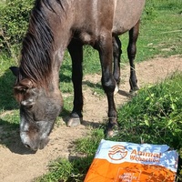 photo de livraison pour Equi-Libre : Droit à la Retraite Equine