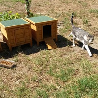 photo de livraison pour Ecole du Chat des Alpilles
