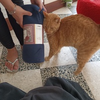 photo de livraison pour Ronron du Bonheur