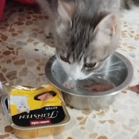 photo de livraison pour Cat Miaou