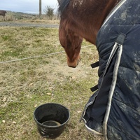 photo de livraison pour Mon Rêve en Calèche