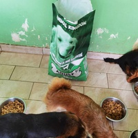 photo de livraison pour ПРИХВАТИЛИШТЕ ДРАЖЕВАЦ