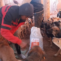 photo de livraison pour Le Coeur sur la Patte