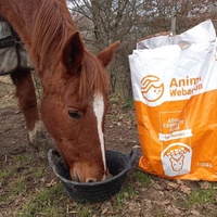 photo de livraison pour Arche et Relais