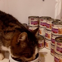 photo de livraison pour La maisonnée de Gloria