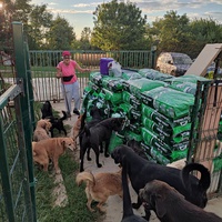 photo de livraison pour Društvo za zaštitu životinja "Bela"