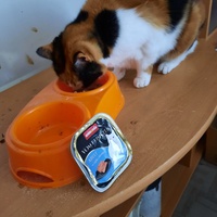 photo de livraison pour Esperanza36