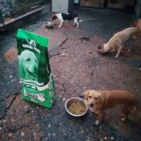 photo de livraison pour Ivana Nikolić