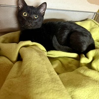 photo de livraison pour L'Arche de Ploum