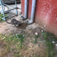 photo de livraison pour Hajar Aourz