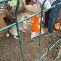photo de livraison pour Innocente