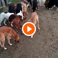 photo de livraison pour Sanctuaire de la Faune de Tanger (SFT)