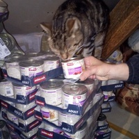 photo de livraison pour SOS Chats du Sedanais