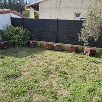 photo de livraison pour L'Arche de la Gazelle