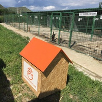 photo de livraison pour Save & Hope for Dogs