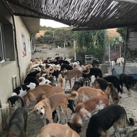 photo de livraison pour Sanctuaire de la Faune de Tanger (SFT)