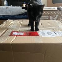 photo de livraison pour Association C.A.T.S. Chat Animal Terrien Solidarité