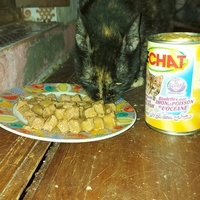 photo de livraison pour Samantha Réaux