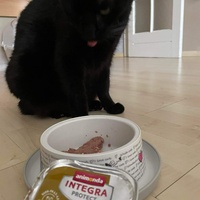 photo de livraison pour Chat Suffit a.sb.l.