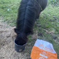 photo de livraison pour Espoir au Galop