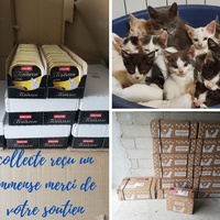 photo de livraison pour Chat L'Heureux Chat l'Ange et Cie