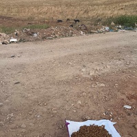 photo de livraison pour Civic Initiative Kane Korzo Skopje