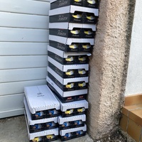 photo de livraison pour STREET CATS