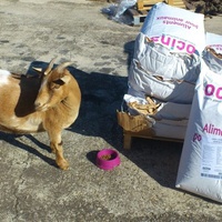 photo de livraison pour La Tribu de LOLA