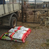 photo de livraison pour Animals voice Macedonia