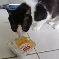 photo de livraison pour Cosette